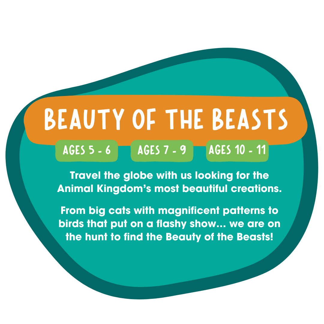 beauty of the beasts (3)